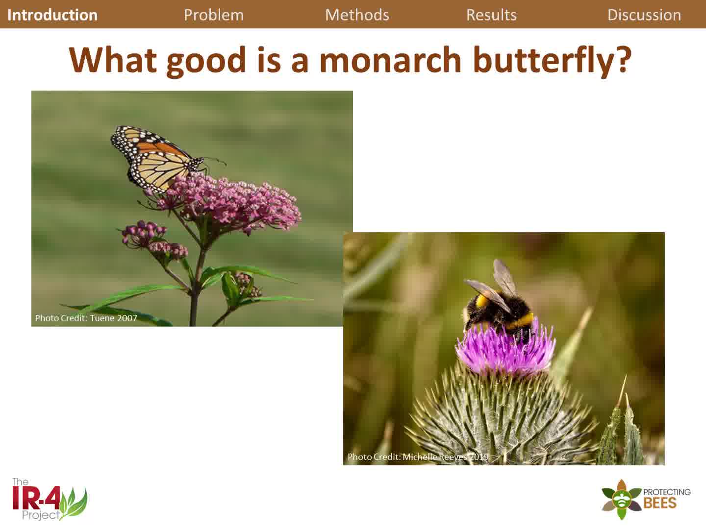 Building a Better Monarch Butterfly Garden (Summary cast)